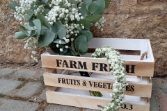 WhatsApp-Image-2025-11-25-at-18.09.13