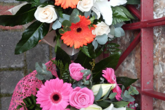 WhatsApp-Image-2026-03-16-at-15.56.54