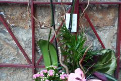 WhatsApp-Image-2026-03-16-at-15.57.02