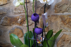 WhatsApp-Image-2026-03-16-at-15.57.03