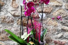 WhatsApp-Image-2026-03-16-at-15.57.06