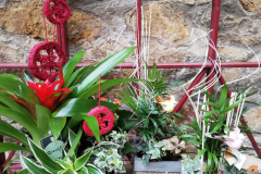 WhatsApp-Image-2026-03-16-at-15.57.07