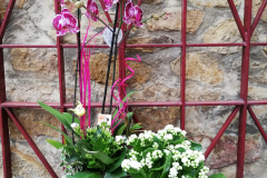 WhatsApp-Image-2026-03-16-at-15.57.09