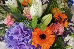 WhatsApp-Image-2026-03-16-at-15.57.10-1