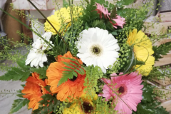 WhatsApp-Image-2026-03-16-at-15.57.10