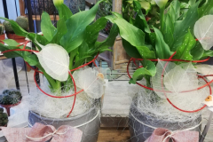 WhatsApp-Image-2026-03-16-at-15.57.11-2