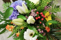 WhatsApp-Image-2026-03-16-at-15.57.12