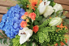 WhatsApp-Image-2026-03-16-at-15.57.14-1