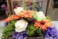 WhatsApp-Image-2026-03-16-at-15.57.14