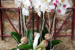 WhatsApp-Image-2026-03-16-at-15.57.15-1