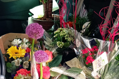 WhatsApp-Image-2026-03-16-at-15.57.15-2