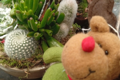 WhatsApp-Image-2026-03-16-at-16.19.55-1