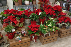 WhatsApp-Image-2026-03-16-at-16.19.55