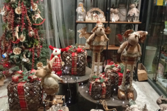 WhatsApp-Image-2026-03-16-at-16.19.56