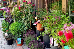 WhatsApp-Image-2026-03-16-at-15.26.08-1