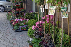 WhatsApp-Image-2026-03-16-at-15.26.08-2