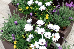 WhatsApp-Image-2026-03-16-at-15.26.08-3