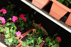 WhatsApp-Image-2026-03-16-at-15.26.08