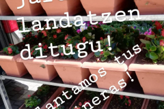 WhatsApp-Image-2026-03-16-at-15.26.09-2