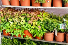 WhatsApp-Image-2026-03-16-at-15.26.09