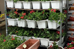 WhatsApp-Image-2026-03-16-at-15.26.10-1