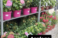 WhatsApp-Image-2026-03-16-at-15.26.10