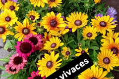 WhatsApp-Image-2026-03-16-at-15.26.11