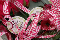 WhatsApp-Image-2026-03-16-at-15.53.27-1