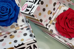 WhatsApp-Image-2026-03-16-at-15.53.27