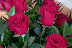 WhatsApp-Image-2026-03-16-at-15.53.28-2